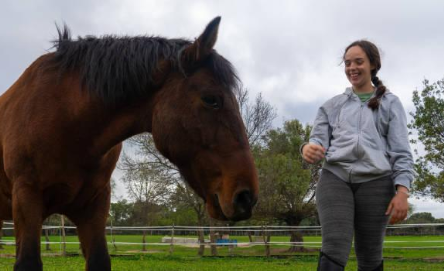 Equine Therapy